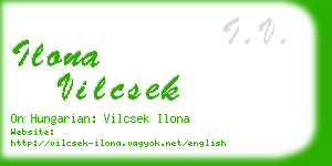 ilona vilcsek business card